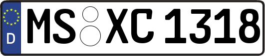 MS-XC1318