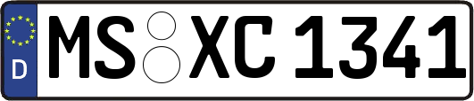 MS-XC1341