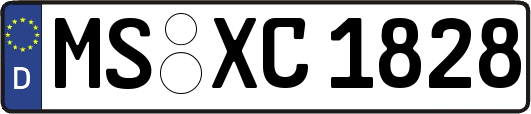 MS-XC1828