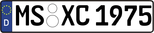 MS-XC1975