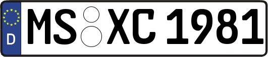 MS-XC1981