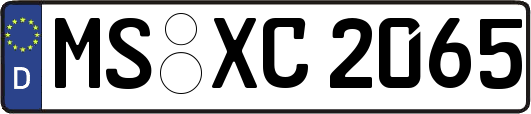 MS-XC2065