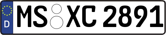 MS-XC2891