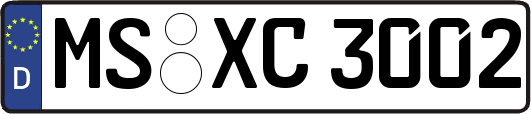 MS-XC3002