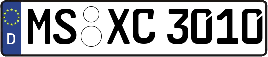 MS-XC3010