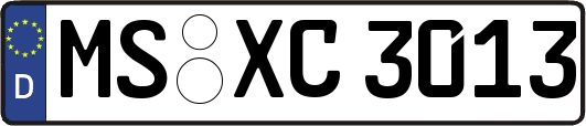 MS-XC3013