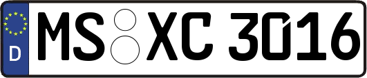 MS-XC3016