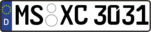 MS-XC3031