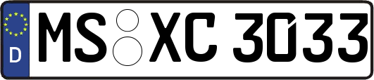 MS-XC3033