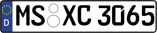 MS-XC3065
