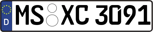 MS-XC3091