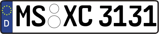 MS-XC3131
