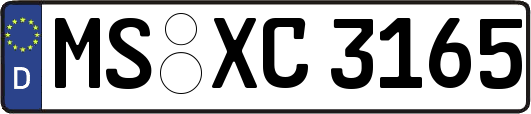 MS-XC3165