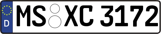 MS-XC3172