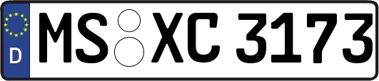 MS-XC3173