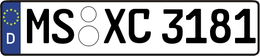 MS-XC3181