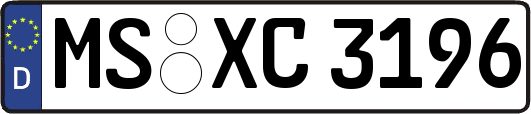 MS-XC3196