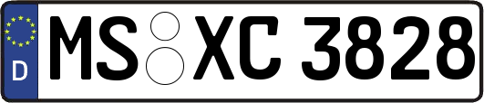 MS-XC3828