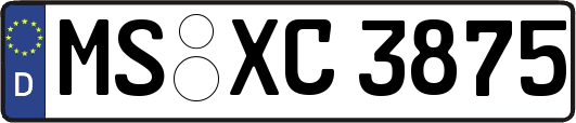 MS-XC3875