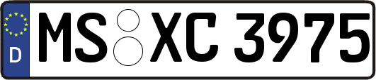 MS-XC3975