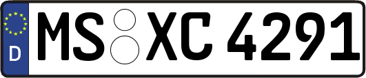 MS-XC4291