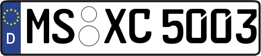 MS-XC5003