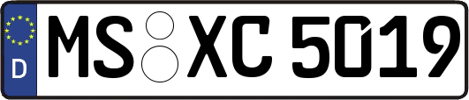 MS-XC5019