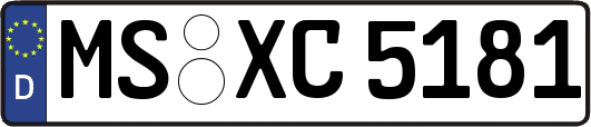MS-XC5181