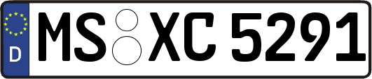MS-XC5291