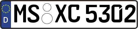 MS-XC5302