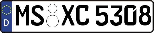 MS-XC5308