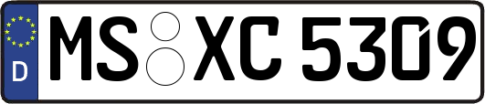 MS-XC5309