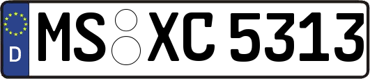 MS-XC5313