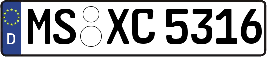 MS-XC5316