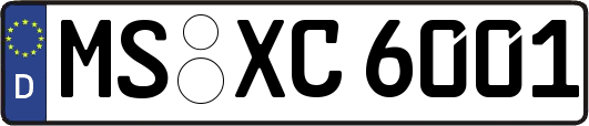MS-XC6001