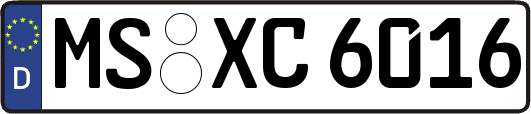 MS-XC6016