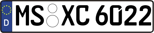 MS-XC6022