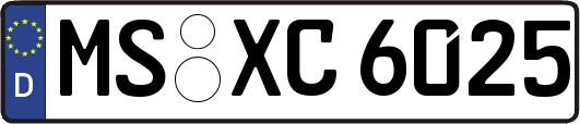 MS-XC6025