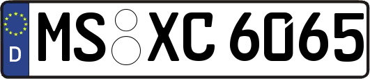 MS-XC6065