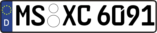 MS-XC6091
