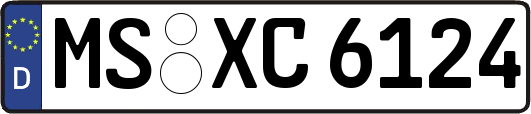 MS-XC6124