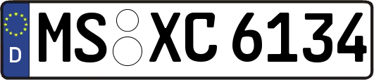 MS-XC6134