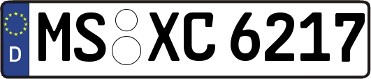 MS-XC6217