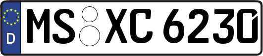 MS-XC6230