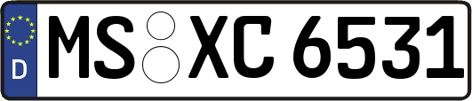MS-XC6531