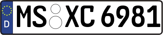 MS-XC6981