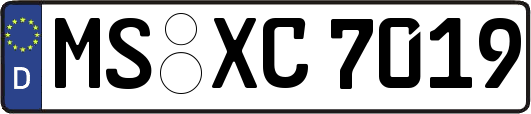 MS-XC7019
