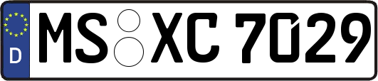 MS-XC7029