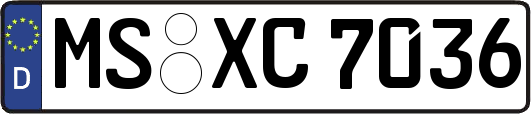 MS-XC7036