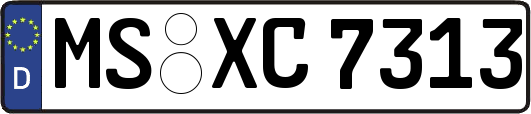 MS-XC7313